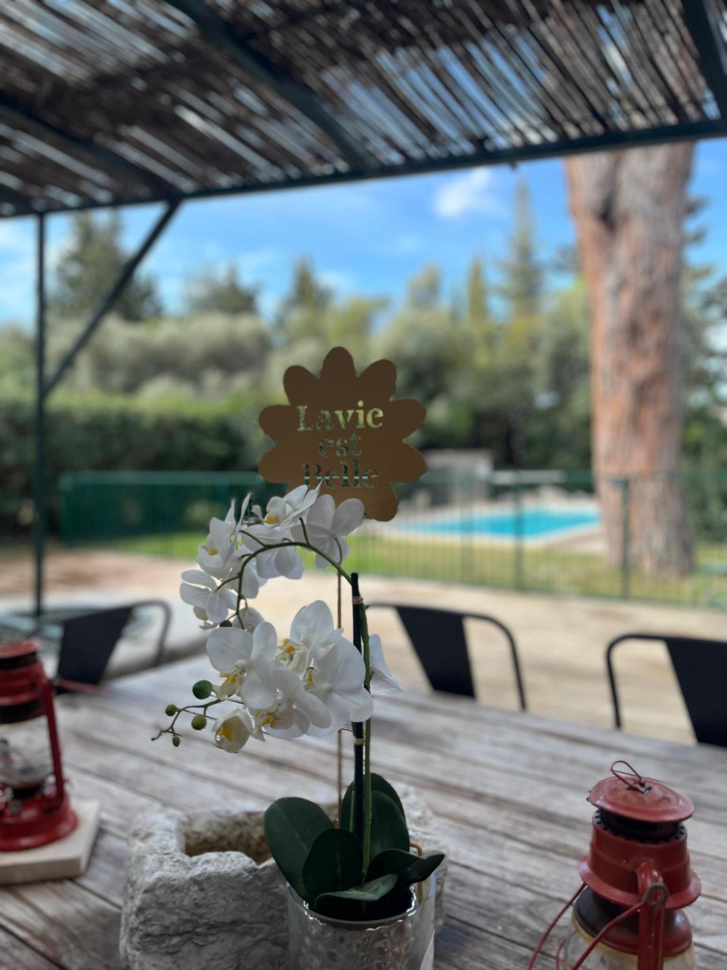 Villavos- Le Bocage Cassis