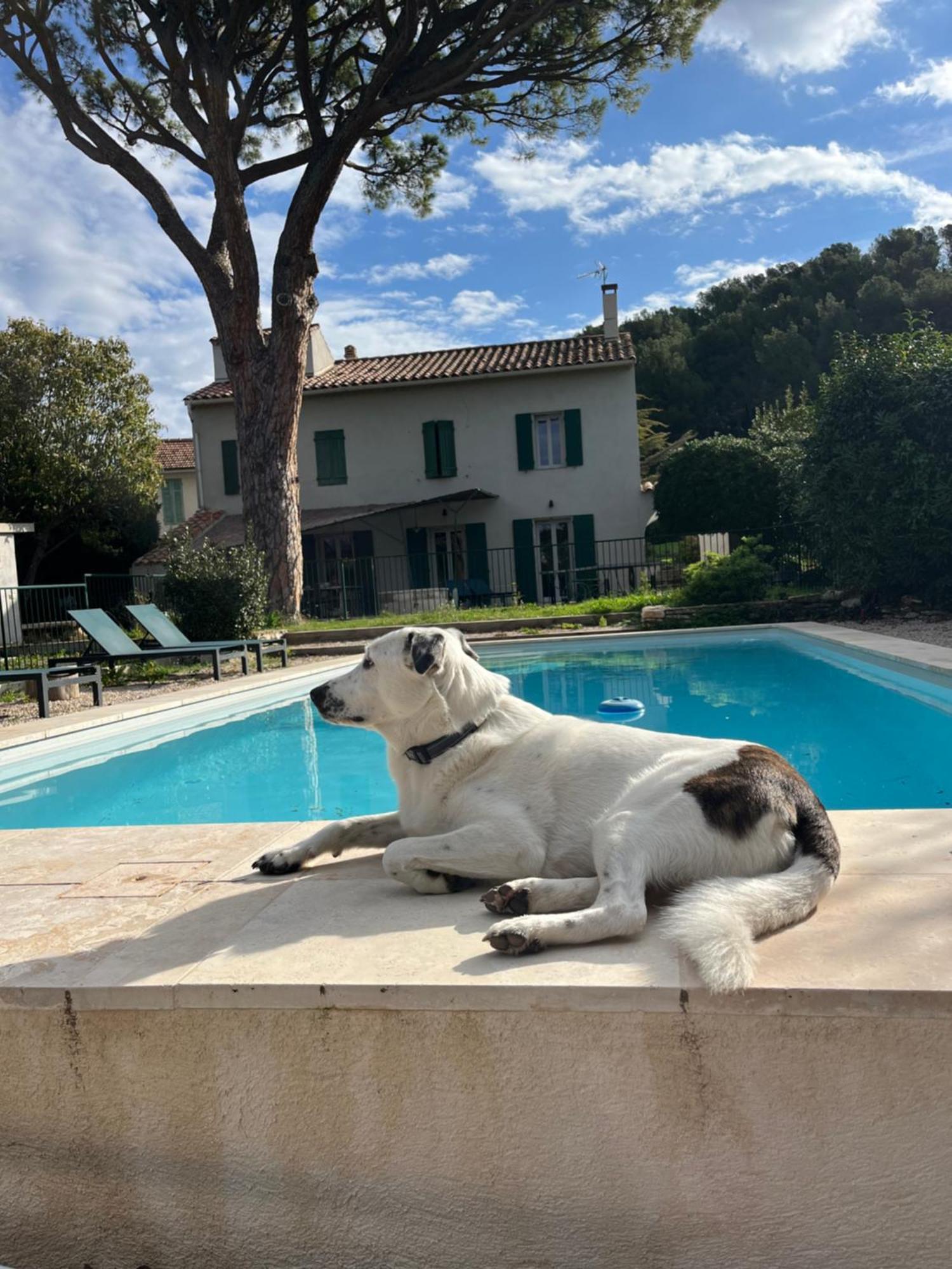 Villavos- Le Bocage Villa